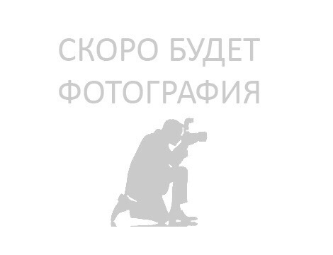 Штукатурка декоративная "КОРОЕД" Weber min 2.0мм.  (20 кг)